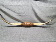 Load image into Gallery viewer, 1950's VINTAGE MOUNTED STEER COW BULL HORNS 4 FEET Wide LEATHER Wrap