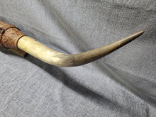 Load image into Gallery viewer, 1950's VINTAGE MOUNTED STEER COW BULL HORNS 4 FEET Wide LEATHER Wrap
