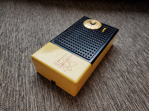 Rare RAYTHEON Transistor Radio T-100-1 Only made in 1956