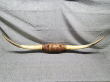 Load image into Gallery viewer, 1950&#39;s VINTAGE MOUNTED STEER COW BULL HORNS 4 FEET Wide LEATHER Wrap
